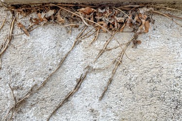 Similar image 22581475