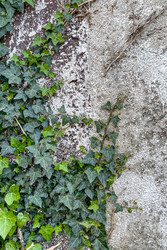 Similar image 22581476