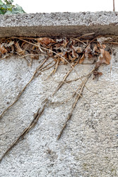 Similar image 22581477