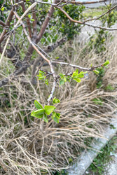 Similar image 22581478