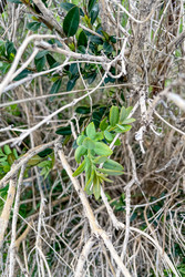 Similar image 22581479