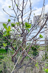 Similar image 22581493