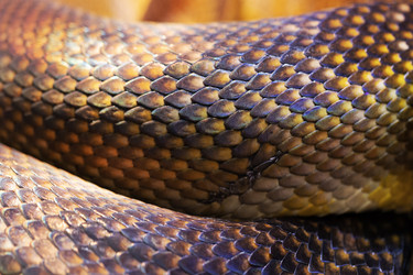 Similar image 22590422