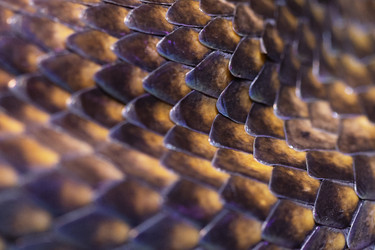 Similar image 22591033