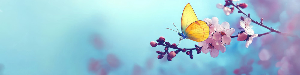 Similar image 22587090