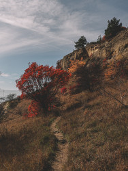 Similar image 22577773