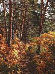 Similar image 22577775