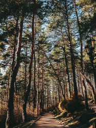 Similar image 22577776