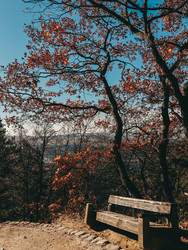 Similar image 22577779