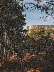 Similar image 22577784