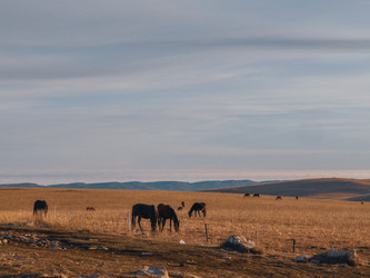 Similar image 22577787