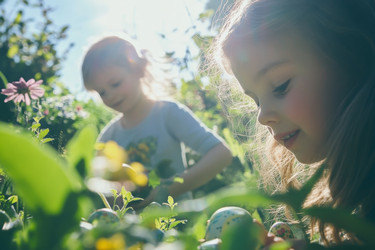 Similar image 22587692