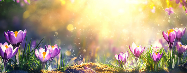 Similar image 22587827