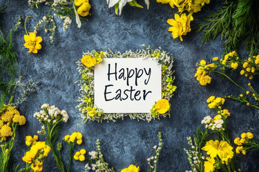 Similar image 22587945