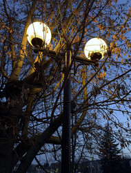 Similar image 22577592