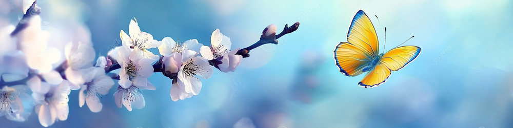 Similar image 22587139