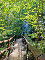 Similar image 22577581