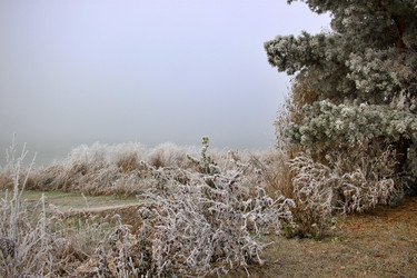 Similar image 22581045