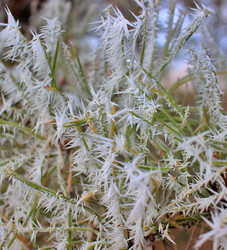 Similar image 22581046