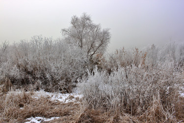 Similar image 22581047