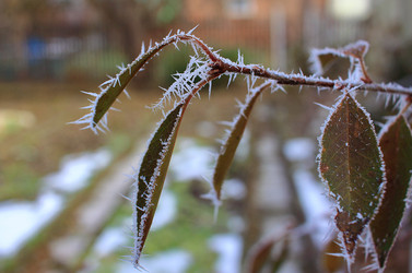 Similar image 22581048