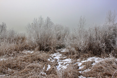 Similar image 22581052