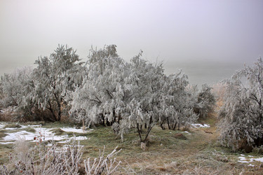 Similar image 22581058