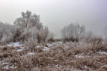 Similar image 22581059