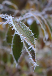 Similar image 22581060