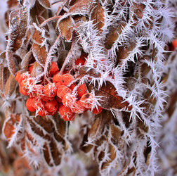 Similar image 22581064