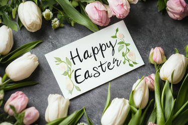 Similar image 22588094