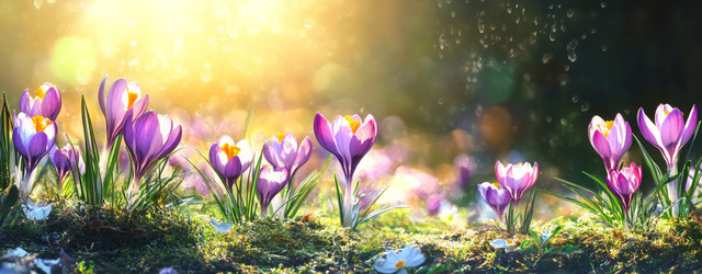 Similar image 22587125