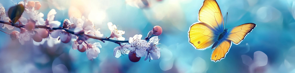 Similar image 22587155