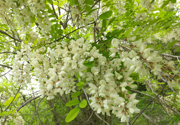 Similar image 22594654