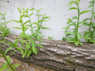 Similar image 22594659