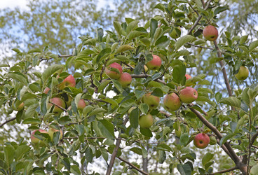 Similar image 22594663