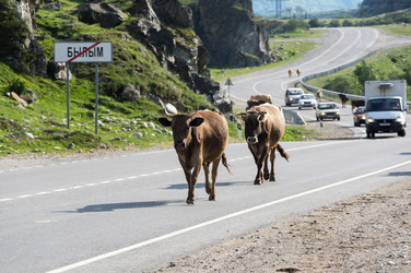 Similar image 22578589