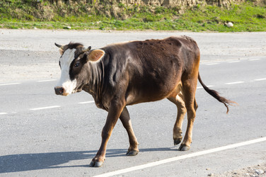 Similar image 22578591