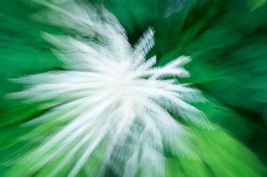 Similar image 22578612