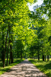 Similar image 22578623