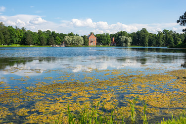 Similar image 22578655