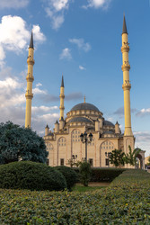 Similar image 22578669