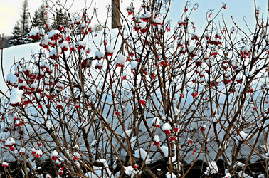 Similar image 22580285