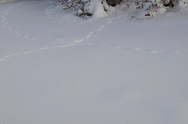 Similar image 22580287