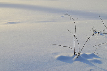 Similar image 22580288