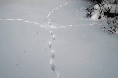 Similar image 22580289