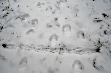 Similar image 22580292