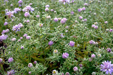 Similar image 22580294