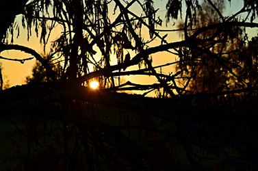 Similar image 22580295