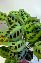 Similar image 22577539